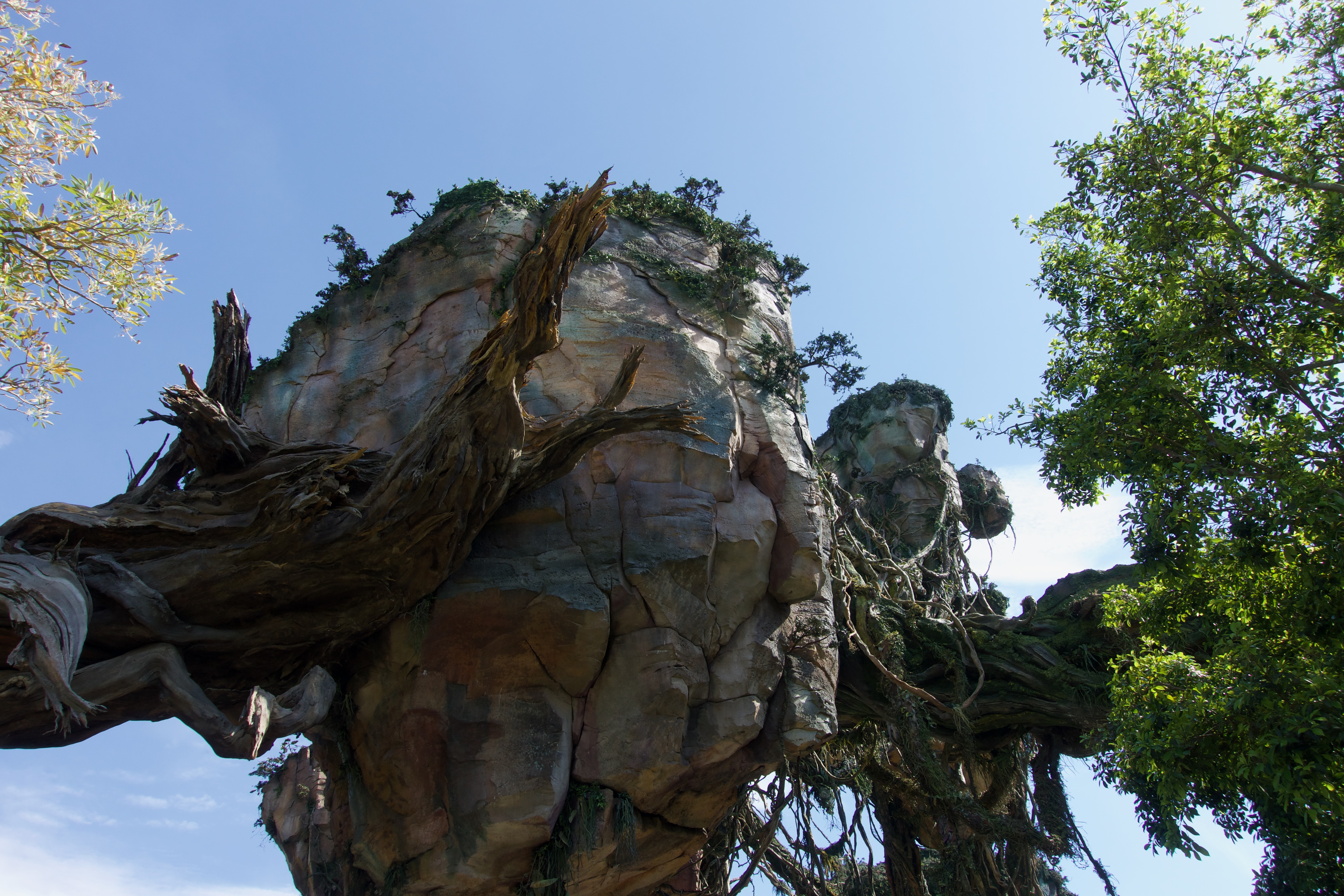 Savanna view from Animal Kingdom Lodge at sunset with wildlife