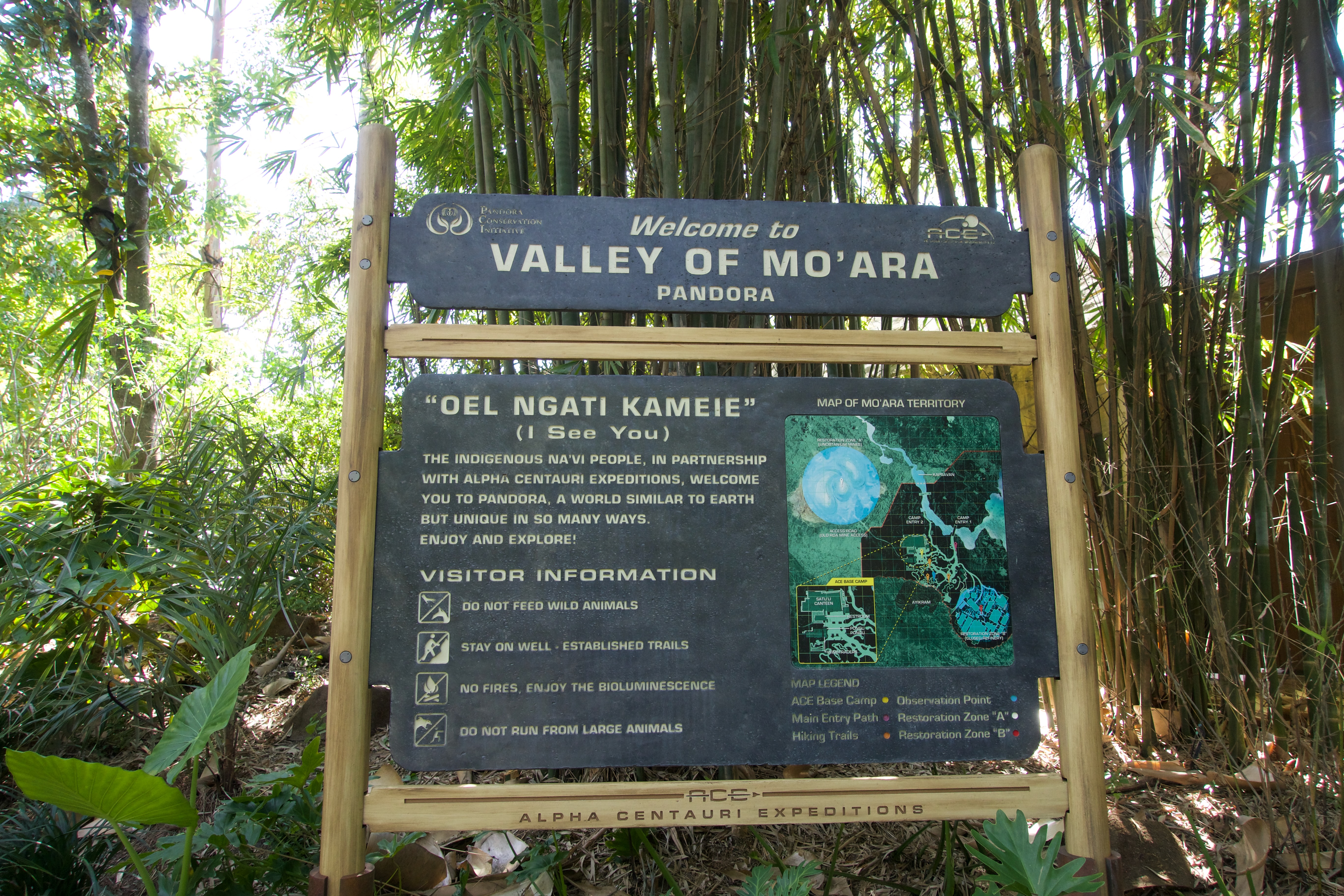 Animal Kingdom park map showing Pandora, Africa, Asia, and all animal trails
