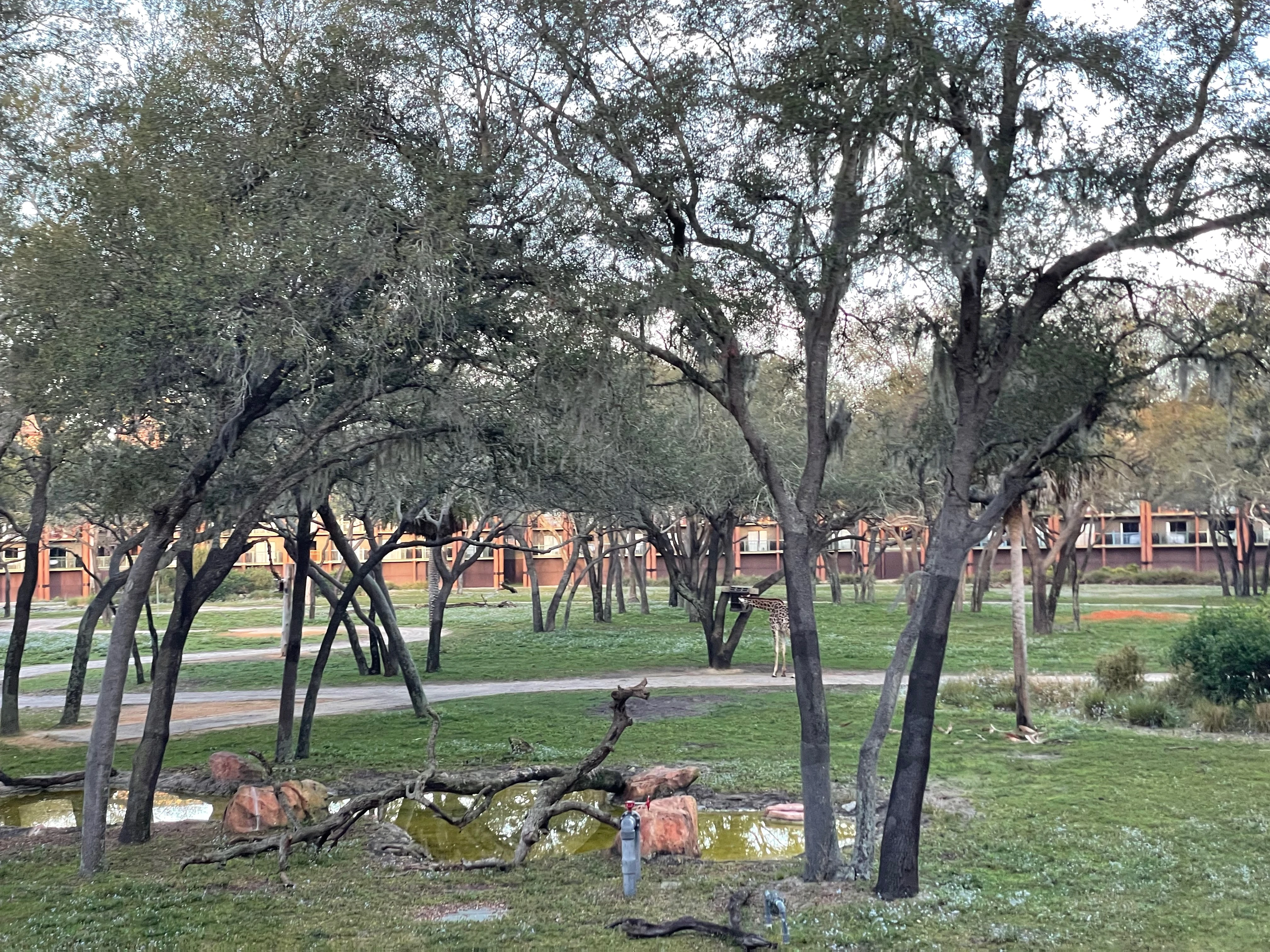 Expedition Everest mountain attraction with prayer flags