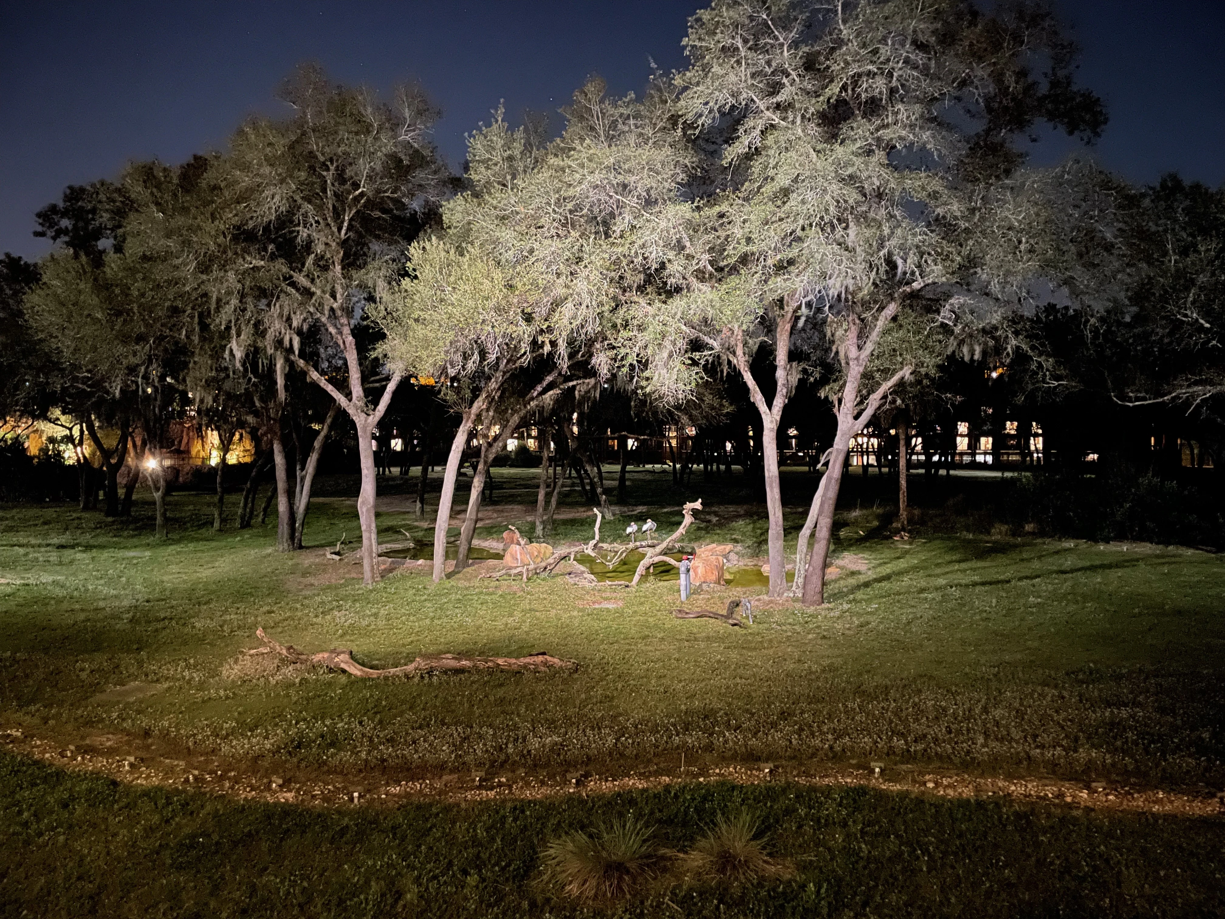 Grand Floridian Resort lobby with ornate Victorian ceiling